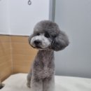 얼바인 동물병원 이미지