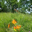 용명1리 이미지