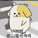명동콜링