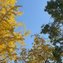 희망공원 게이트볼장 이미지