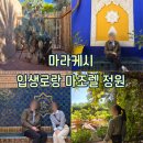 세계가 사랑한 나라별 음료여행 | [마라케시 : 가볼만한곳] 입생로랑이 사랑한 마조렐 정원 예약 및 입장권 내돈내산 후기