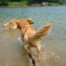 전이랑 순이랑 이미지