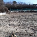 미더스공인중개사사무소 이미지