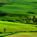 언덕위의 집 이미지