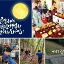 만나식품 Daum카페