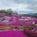 강변조각공원길 | (산청여행) 산청 생초 국제조각공원 꽃잔디 축제 ☞경호강변에서 연분홍 꽃길을 걸어보자