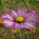 경주한의원 이미지