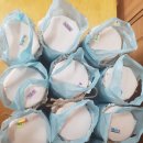 부안남초병설유치원 이미지