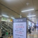 G.T. 복싱 클래시아점 | 6월 히트앤핏 (총 11회, 거북이가 됐듀🐢)
