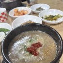자매해장국 | 제주 서귀포 해장국 맛집 &#34;자매해장국&#34; 아침식사 후기