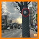 천천작은도서관 이미지