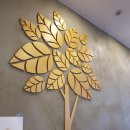 국수나무 대구수성만촌점 이미지