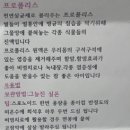 백화 | 프로폴리스 효능 복용법 프로폴리스원액 여주가볼만한곳 백화양봉원 후기