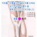근곡천 네이버블로그