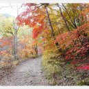 백천계곡 이미지