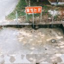 용두해수욕장숲속야영장 이미지