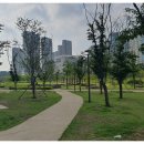 황제목살 이미지