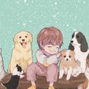 댕댕타임 이미지