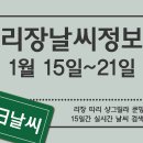 1월 15일 ~ 21일 리장 7일간 날씨 정보 이미지