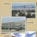 신탄진초등학교 이미지