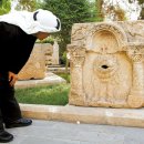 시 속의 아니마와 아니무스 이미지