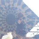 [17.05.20.] GREENPLUGGED SEOUL 2017 // 난지한강공원 - Sun Stage☆ [부제 : 만날 때 마다 최고!! 이 마음 평생 가기를 바라며☆] 이미지