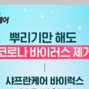 바이럭스 이미지