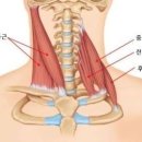 마디움한의원 이미지