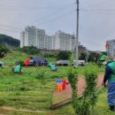 새마을쌈지공원