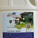 세탁예술가 이미지