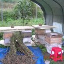 우리농장1 이미지