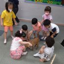 신일어린이집 이미지