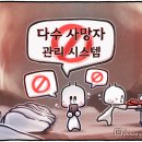 세이프시스템