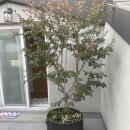 정만농장 이미지