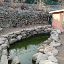 청아농장 이미지