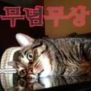 무념무상 이미지