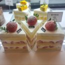 천일중학교 | [공지] 천호 암사 카페 추천 | 수제 딸기 생크림 케이크 맛집 피크플래버