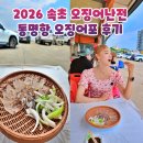 일광호횟집 | 속초 오징어난전 2026 동명항 오징어포 가격 시간 여행코스