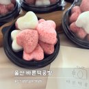 미니미니떡공방 | 울산 떡공방 바론떡공방 미니하트 설기 답례품 디저트 후기