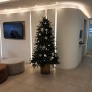 강남성모치과의원 이미지