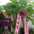 대박 태권도장 이미지