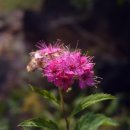 영남유치원 이미지