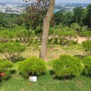 정식목장 이미지