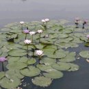 서동공원 이미지