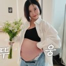 D-라인