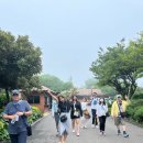 제주앤투어 이미지