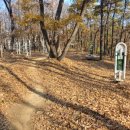 두리봉네거리 좌측 이미지