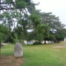 초록산등산로 이미지