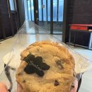 주니비노호텔 이미지