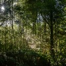 탑곡농장 이미지